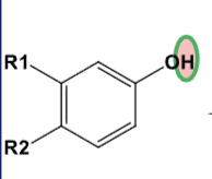 <p>what functional group does this image include?</p>