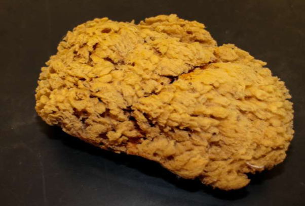 <p>Bath sponge (Remember its the only spongin)</p>