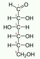 <p>What is this?</p>