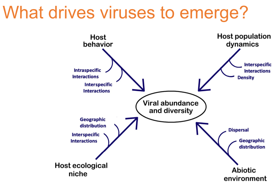 <p>An ecosystems approach to studying disease emergence. An ecosystem focus not only encompasses emerging and pathogenic viruses, but the entire virome in healthy and unhealthy hosts, as well as the complex interactions between viruses, hosts, and environments.</p><p>When sampling for a population or ecosystem:</p><p>Controls can be difficult to incorporate - Collect as much meta data as possible (sex, age, location, host, pH, temperature, etc.). Collect longitudinal (over time) data when possible</p><p></p>