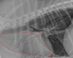 <p>ID sign</p>
