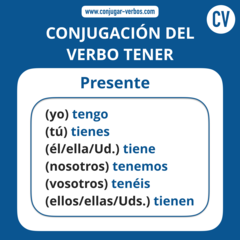 <p>tener</p>