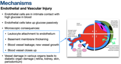 <p>diabetes</p>