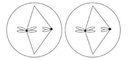 <p>What is this phase of meiosis?</p>