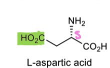 <p>How can we put the 15N isotopic label on L ornithine (starts with aspartic acid)</p>