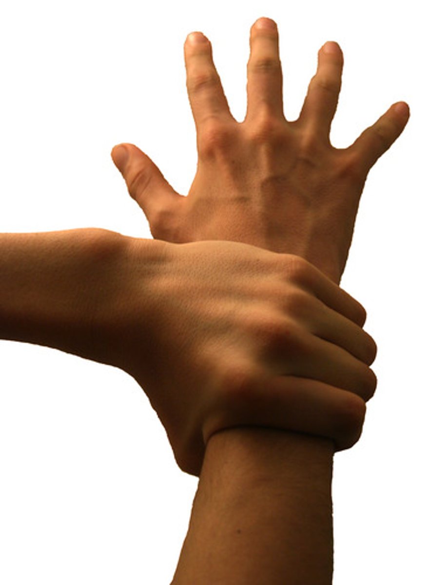 <p>to grab, catch</p>