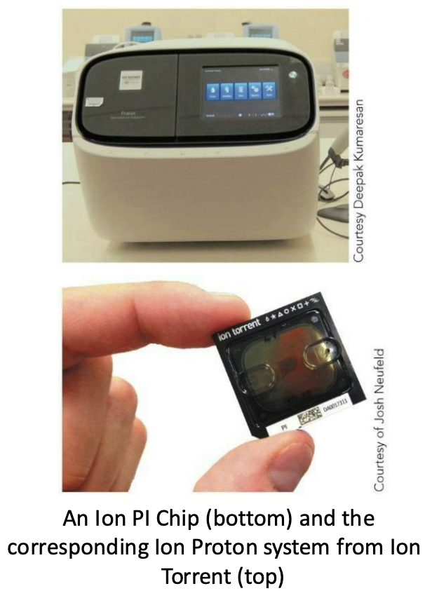 <ul><li><p>Same principle as 454- pyrosequencing, but uses a sensor that detects hydrogen ions released each time a nucleotide is incorporated – <strong><em>the world’s smallest pH meter</em></strong></p></li></ul><ul><li><p>Reads up to 200 bp</p></li></ul><p></p>