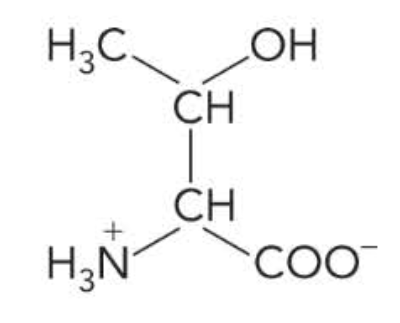 <p class="p1">Thr</p><p class="p1">T</p>
