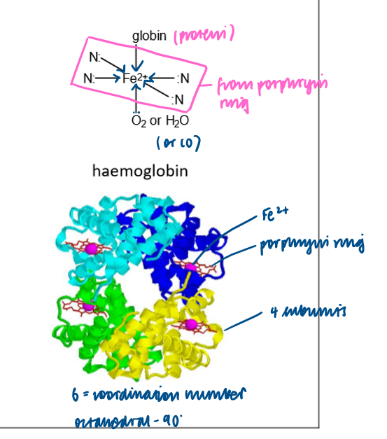 <p>An iron (II) complex containing a multidentate ligand.</p>