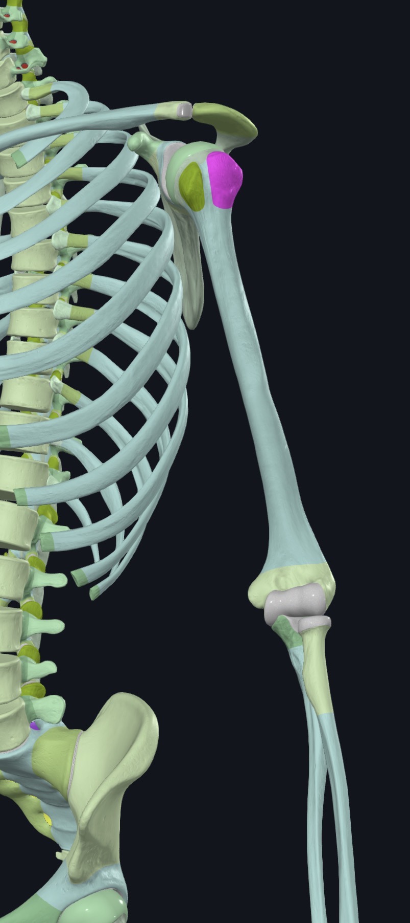 <p>what is this?</p>