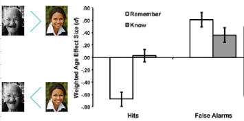 <ul><li><p>results suggested that accurate recollection (‘remembering’) declines in older age due to young people showing a stronger advantage for explicit recall </p></li><li><p>accurate familiarity (‘knowing’) has no significant differences in performance </p></li><li><p>false alarms for recollection + familiarity both increase with age</p></li></ul><p>relates to dual process theory</p>