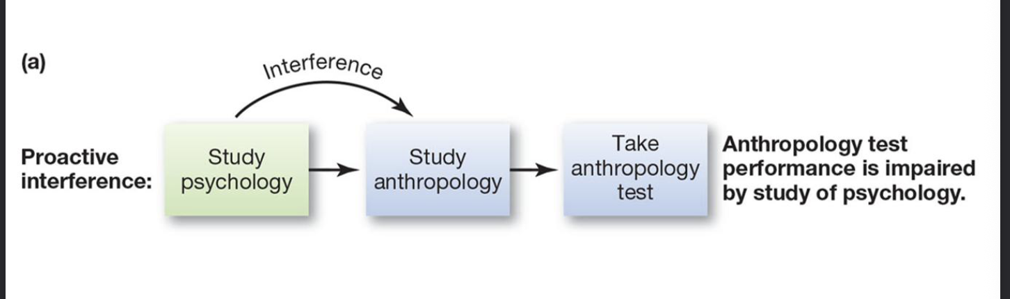 <p>Previously learned information interferes with the retention of new information </p>