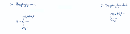 <p>Bei der Carboxylase-Aktivität reagiert Ribulose-1,5-bisphosphat mit CO2 zu 2 Molekülen 3-Phosphoglycerat. </p><p>Bei der Oxygenase-Aktivität reagiert Ribulose-1,5-bisphosphat mit O2 zu 1 Molekül 3-Phosphoglycerat und 1 Molekül 2-Phosphoglykolat.</p>