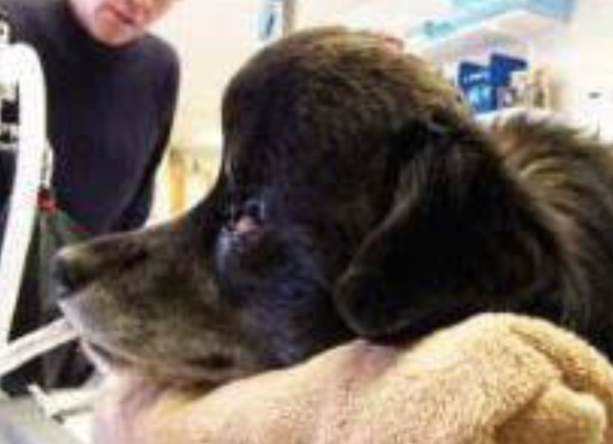 <p>what is this </p>