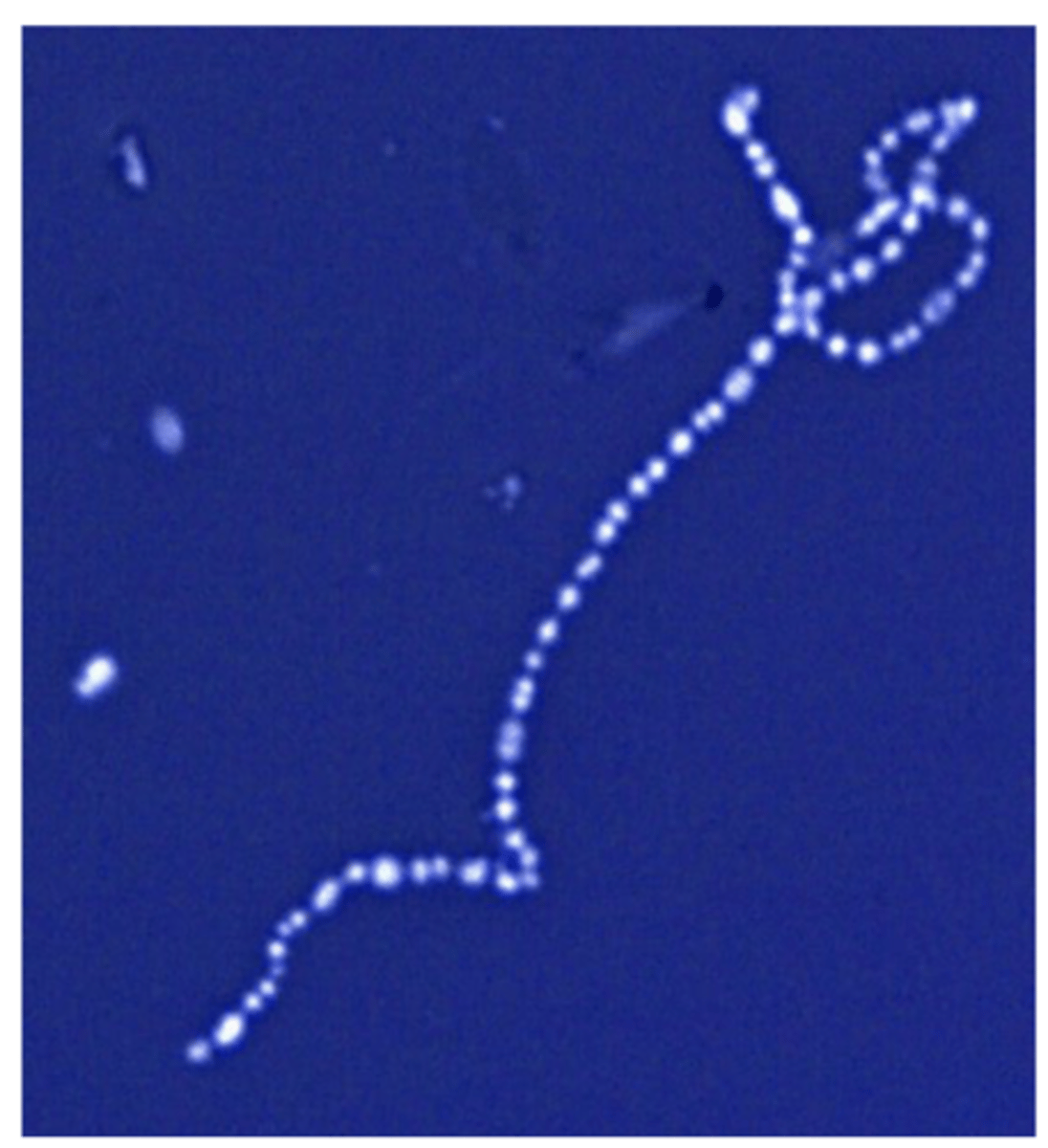 <p></p>