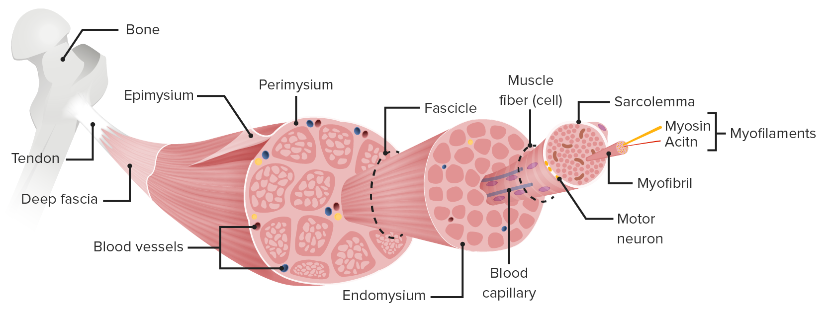 <p>what diagram is this ?</p>