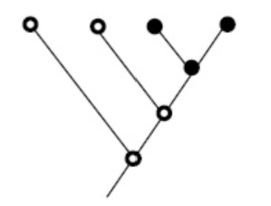 <p>This is an example of what?</p>
