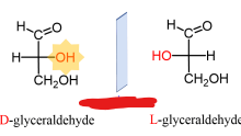 <p>What is the relationship between D-glyceraldehyde and L-glyceraldehyde </p>