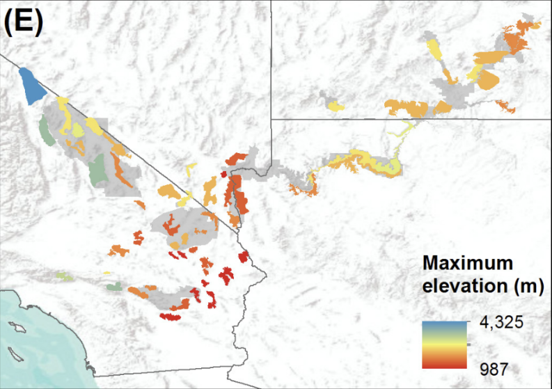 <p>Maximum elevation:</p>