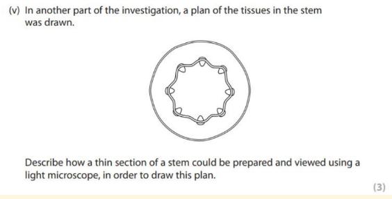 <p>[CP7 microscopy/observe and draw plant structures]</p>