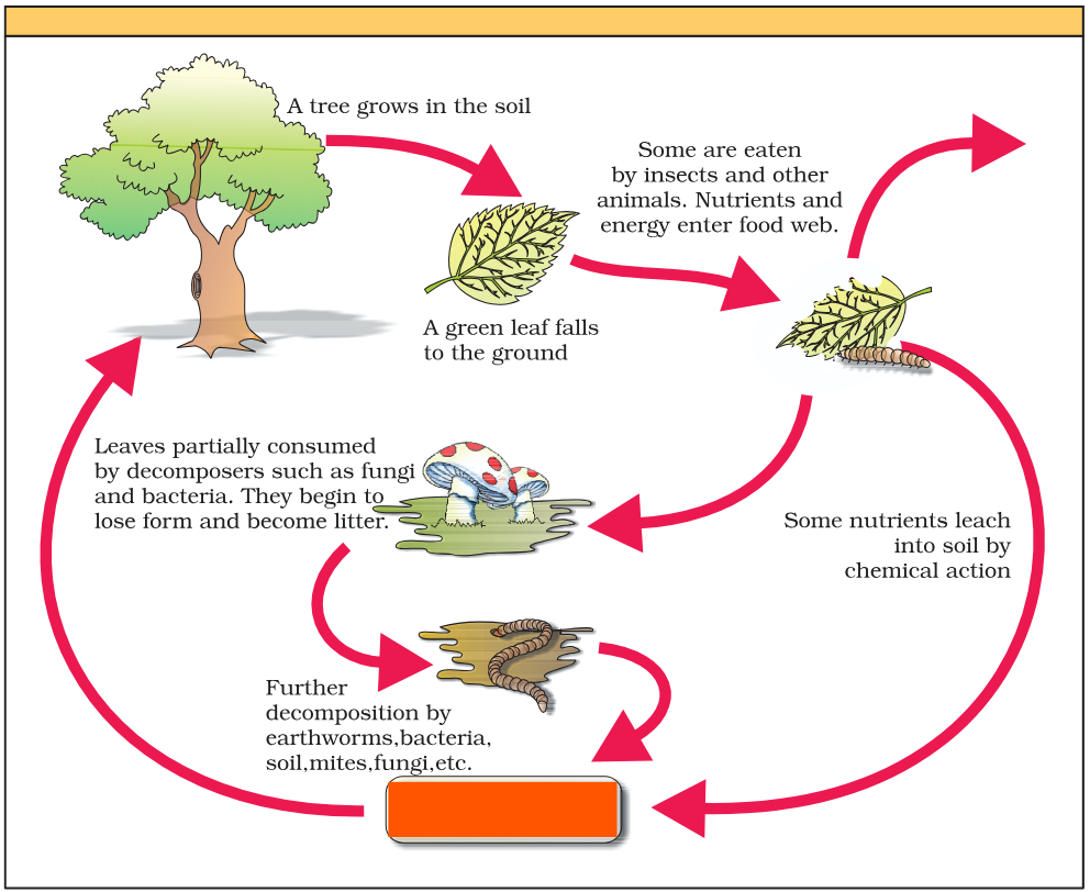 <p>What is the orange part</p>