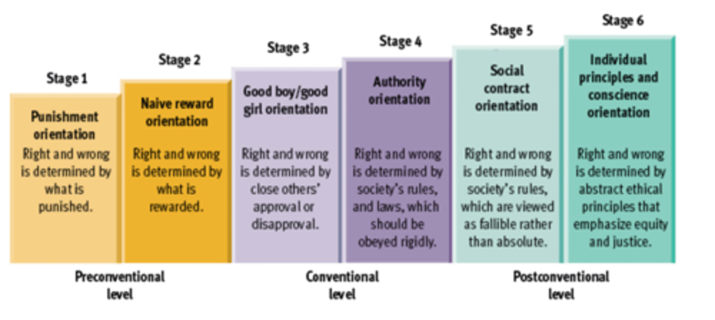 <p>- Also known as<strong> "qualitative change" </strong></p><p>- a change in kind, structure, or organization,<strong> not just in number</strong>.</p>