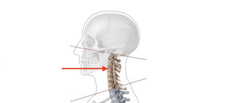 <p>What is this structure?</p>