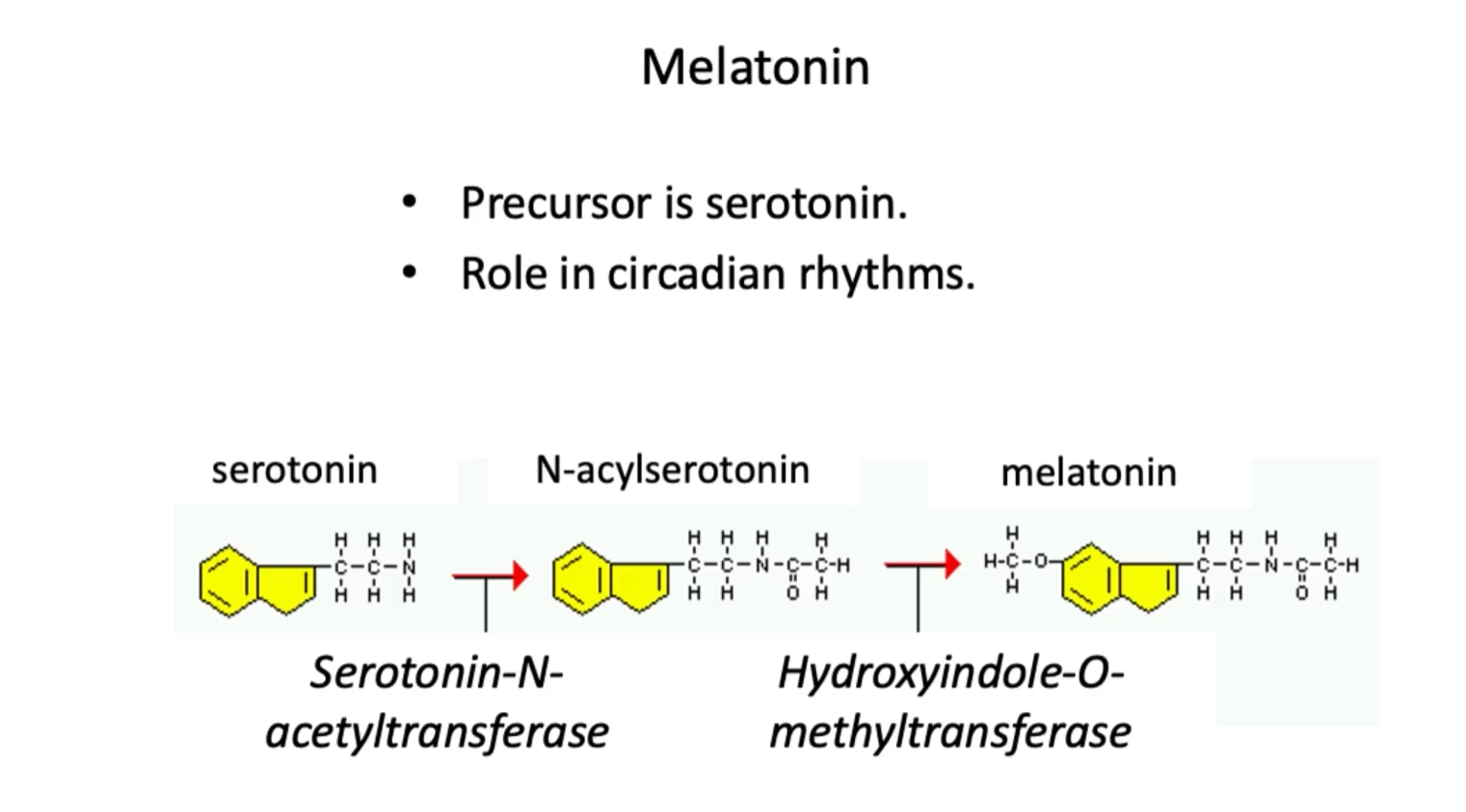 <p><u>Melatonin</u></p><p>Serotonin is a precursor for melatonin.</p><p>Melatonin is synthesized from serotonin in the pineal gland.</p><ul><li><p>Precursor is serotonin.</p></li><li><p>Role in circadian rhythms.</p></li><li><p>Production of melatonin will increase in darkness, thus promoting sleep</p></li><li><p>In this figure we can see the chain of reactions that lead to the conversion of melatonin from serotonin.</p></li></ul><p><strong>Pathway:</strong><br>1. serotonin (Serotonin-N-acetyltransferase) → N-acylserotonin</p><p>Serotonin-N-acetyltransferase transfers an acetyl group TO serotonin.</p><p>2. N-acylserotonin (Hydroxyindole-O-methyltransferase) → melatonin</p><p>Hydroxyindole-O-methyltransferase transfers a methyl group to N-acylserotonin to get melatonin.</p><p><strong>Hydroxyindole-O-methyltransferase</strong> =<br><em>An enzyme that transfers a methyl (–CH₃) group to the oxygen (O) of a hydroxyl group on an indole compound</em></p>