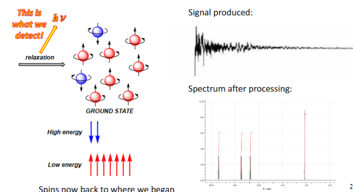 <ul><li><p>This emitted radio wave is detected using a very sophisticated radio receiver</p></li><li><p>The signal then undergoes an extensive mathematical manipulation (Fourier Transformation) to give a spectrum displayed as intensity against δ chemical shift (ppm)</p></li></ul><p></p>