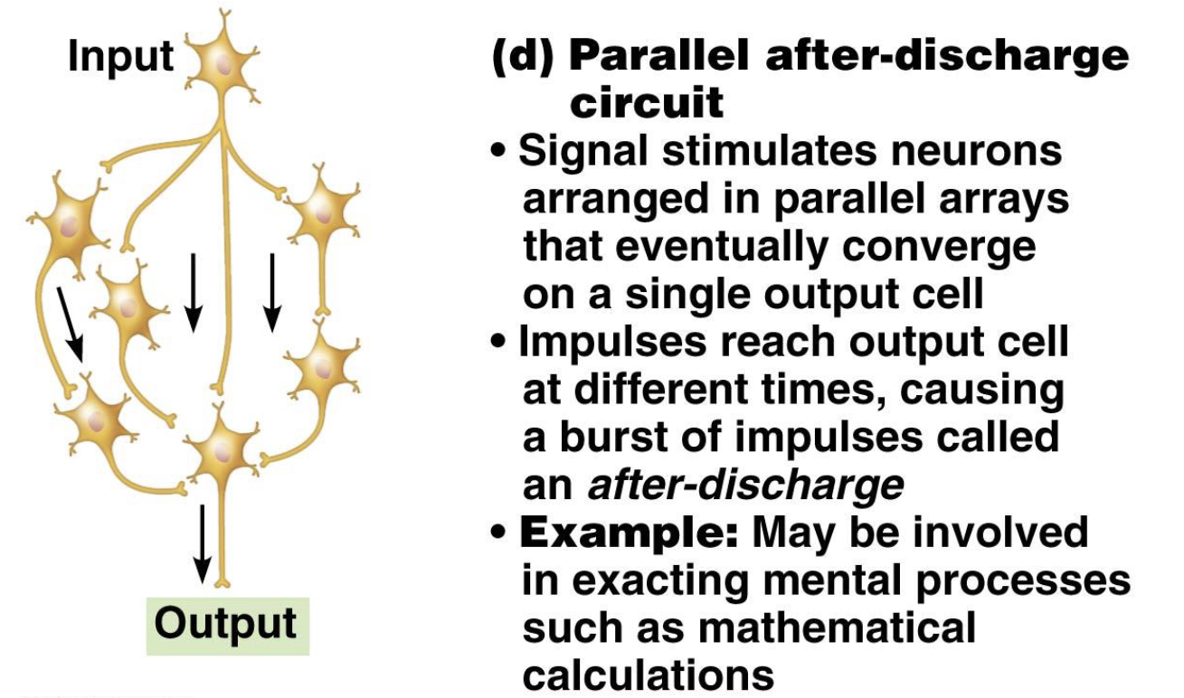 <p>What is the function of a parallel after-discharge circuit?</p>