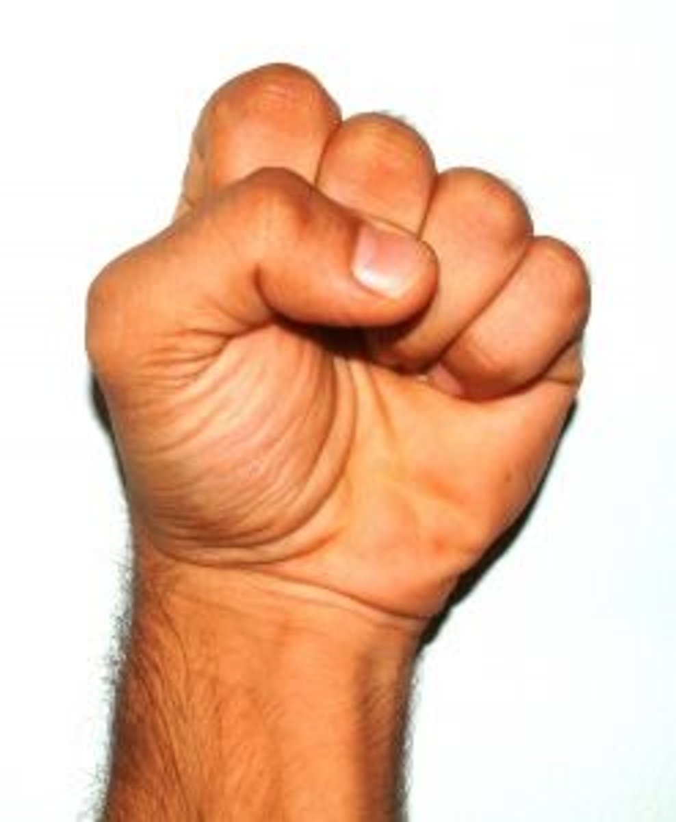 <p>fist</p>