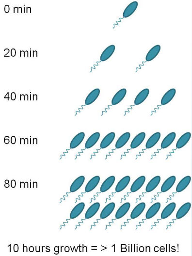 <p>>1 billion cells</p><p></p>