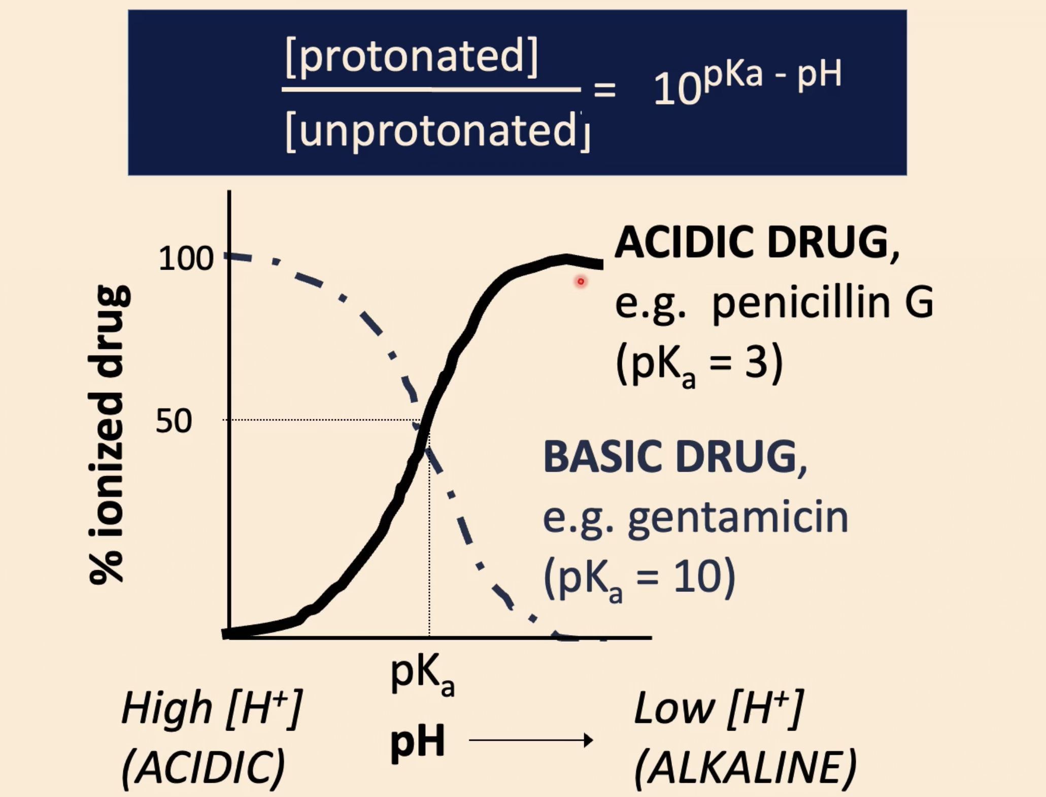 <p>for basic drugs, they become ______ ionized over time</p>