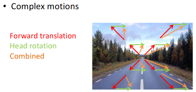 <p>multiple directions, e.g. forward translation and head rotation </p>