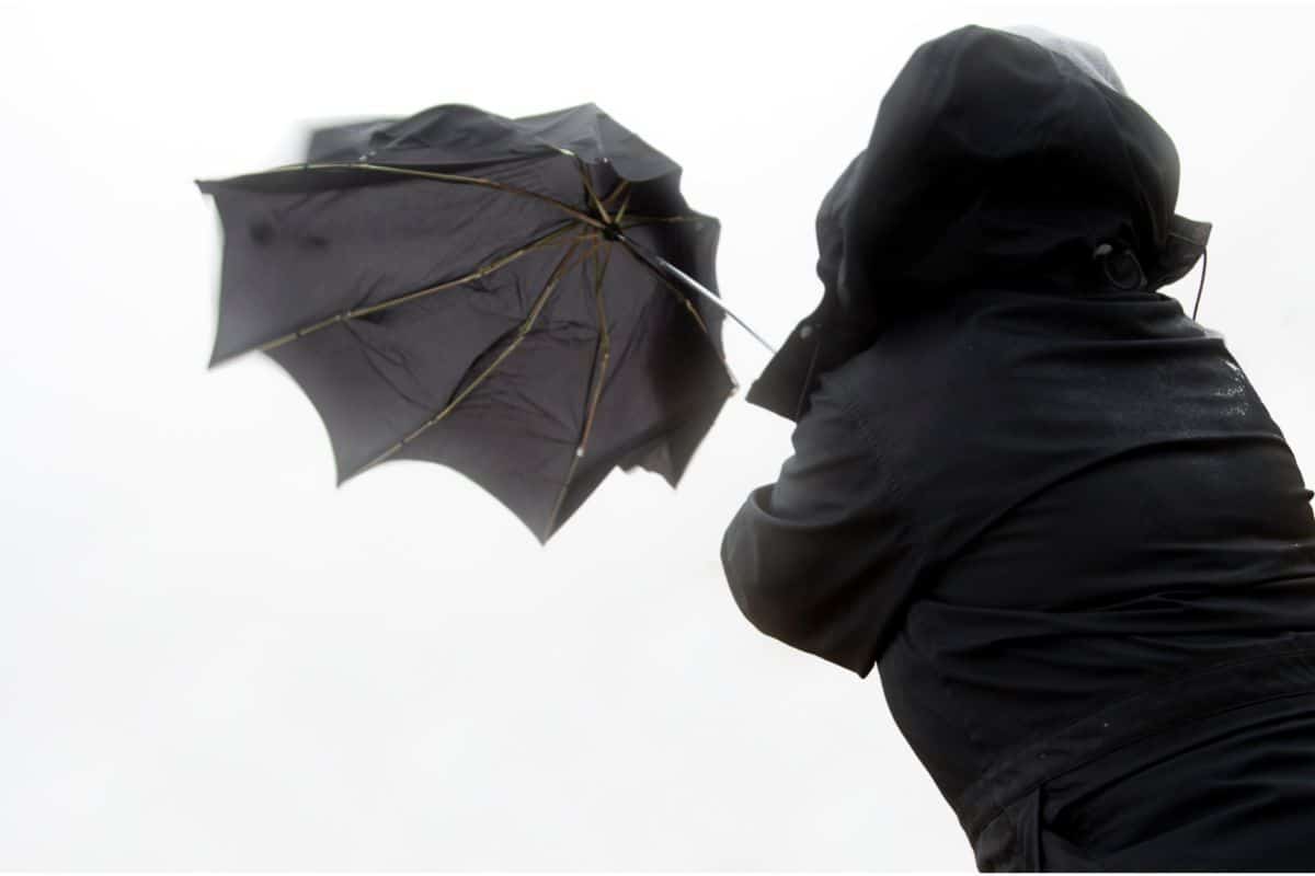 <p>Coup de vent fort</p>