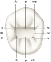<p>DL</p>