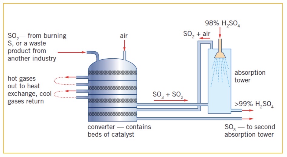 <ul><li><p>The contact process is a method for producing sulfuric acid</p></li><li><p>The majority (~75 %) of the sulfuric acid produced is used in fertiliser production</p></li></ul><p></p><p>Step 1: S(s) + O2(g) → SO2(g) OR 4FeS2(s) +11O2(s) → 2Fe2O3(s) + 8SO2(g)</p><p>Step 2: 2SO2(g) + O2(g) ← → 2SO3(g)</p><p>Step 3: SO3(g) + H2SO4(l) → H2S2O7(l)</p><p>H2S2O7(l) +H2O(l) → 2H2SO4(l)</p><ul><li><p>They key to the efficiency of the process is the reversible reaction carried out at step 2</p></li></ul><p>2SO2(g) + O2(g) ← → 2SO3(g) ΔH = -196 kJmol-1</p>