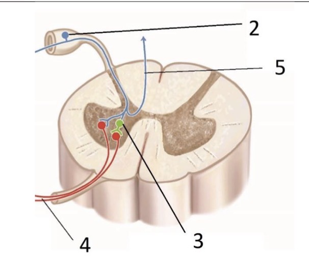<p>What is 2?</p>
