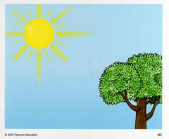 <p>Hace sol.</p>