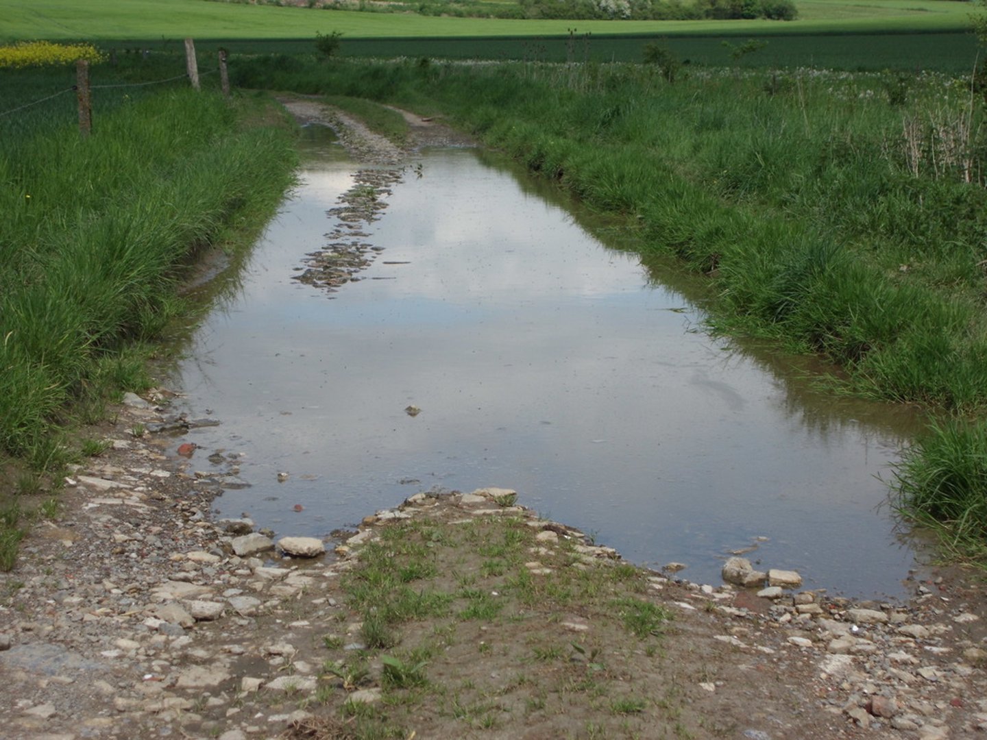 <p>a small amount of water, mud, etc., on the ground</p>
