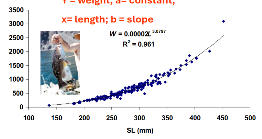 <p>much less variation, very accurate estimate at weight if measure the length</p>