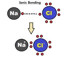 <p>Atoms that have gained or lost electrons and become charged</p><p>- Attraction</p>