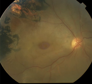 <p>Describe the pic </p>