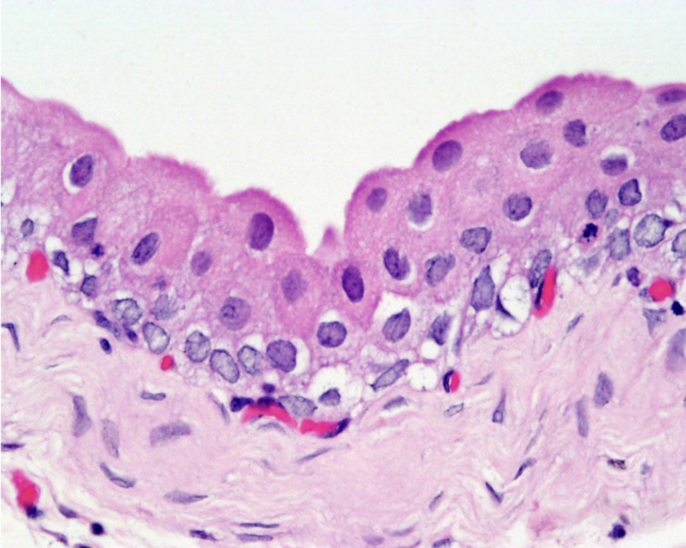 <p>What is this?</p>