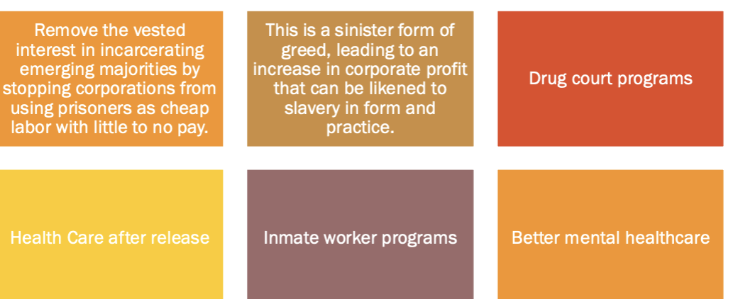<p>Solution to Mass Incarceration:</p>