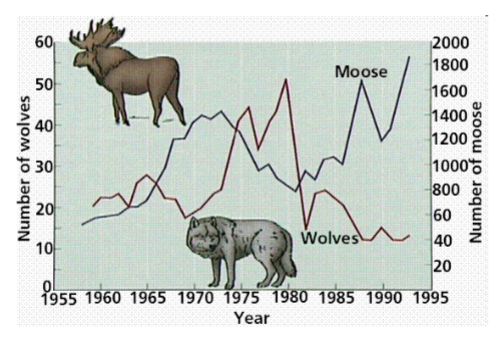 <p>Is there plenty of food available for prey, and where is the prey population’s K?</p><p>if there’s plenty of food, but prey population size is below K → you can assume that predators limit their population size</p>