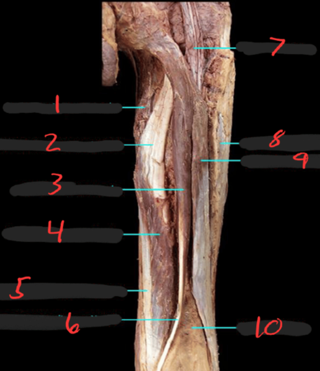 <p>1</p>