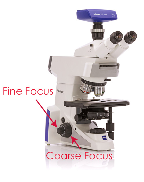 <p>The small knob, and it makes the image extra clear.</p>