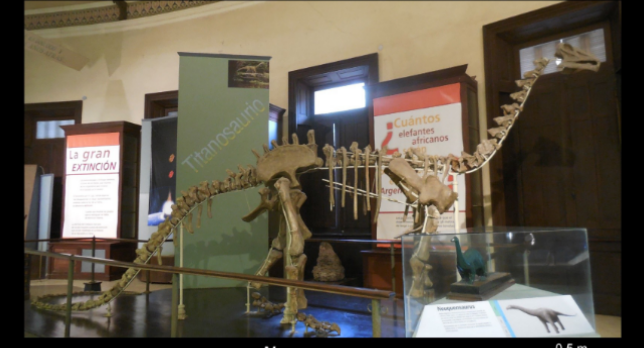 <ul><li><p>upper cretaceous </p></li><li><p>argentina </p></li></ul><p></p>