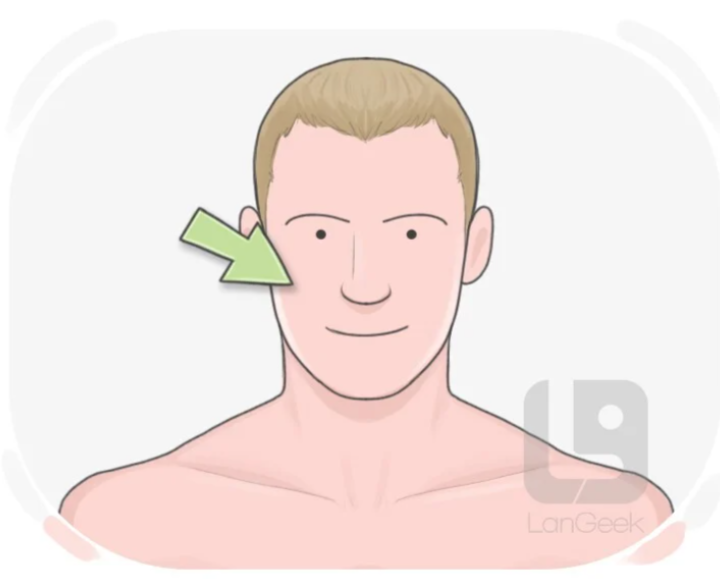 term image